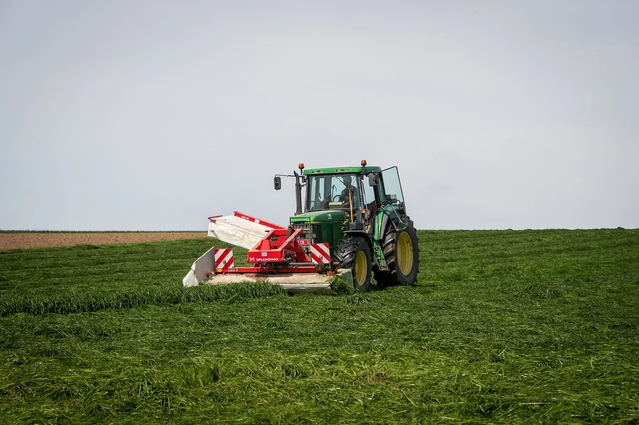 Stai rovinando il tuo orto usando la fresatrice: ecco quando è indispensabile arare il terreno